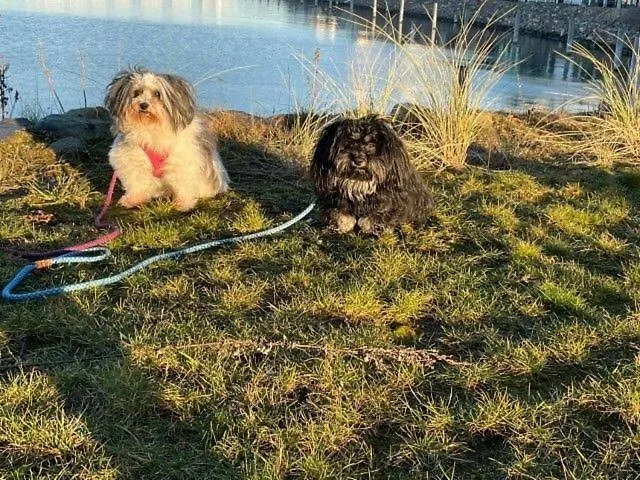 Residenz Bollwark 3 0 Appartement Olpenitz