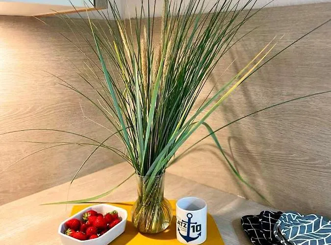 Residenz Bollwark 3 0 Appartement